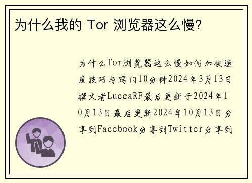为什么我的 Tor 浏览器这么慢？ 